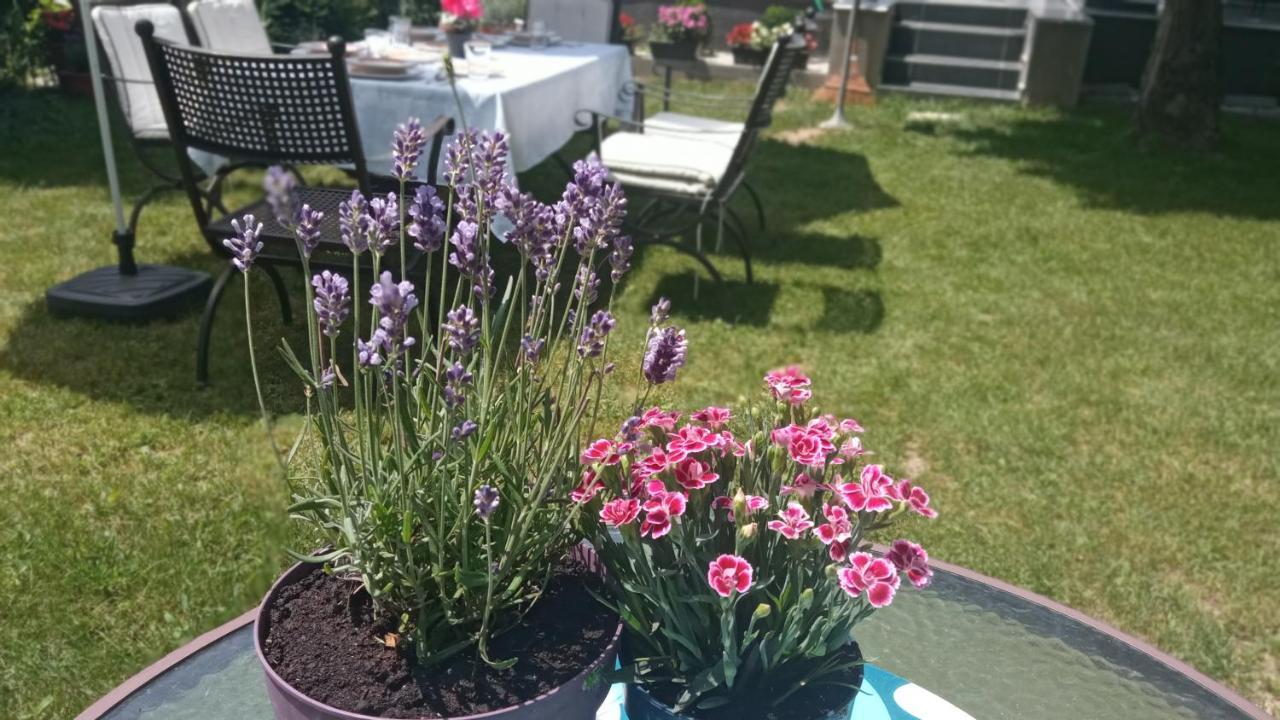 Art Inn Apartmanhaz Balaton-Gyenesdiás Exteriér fotografie